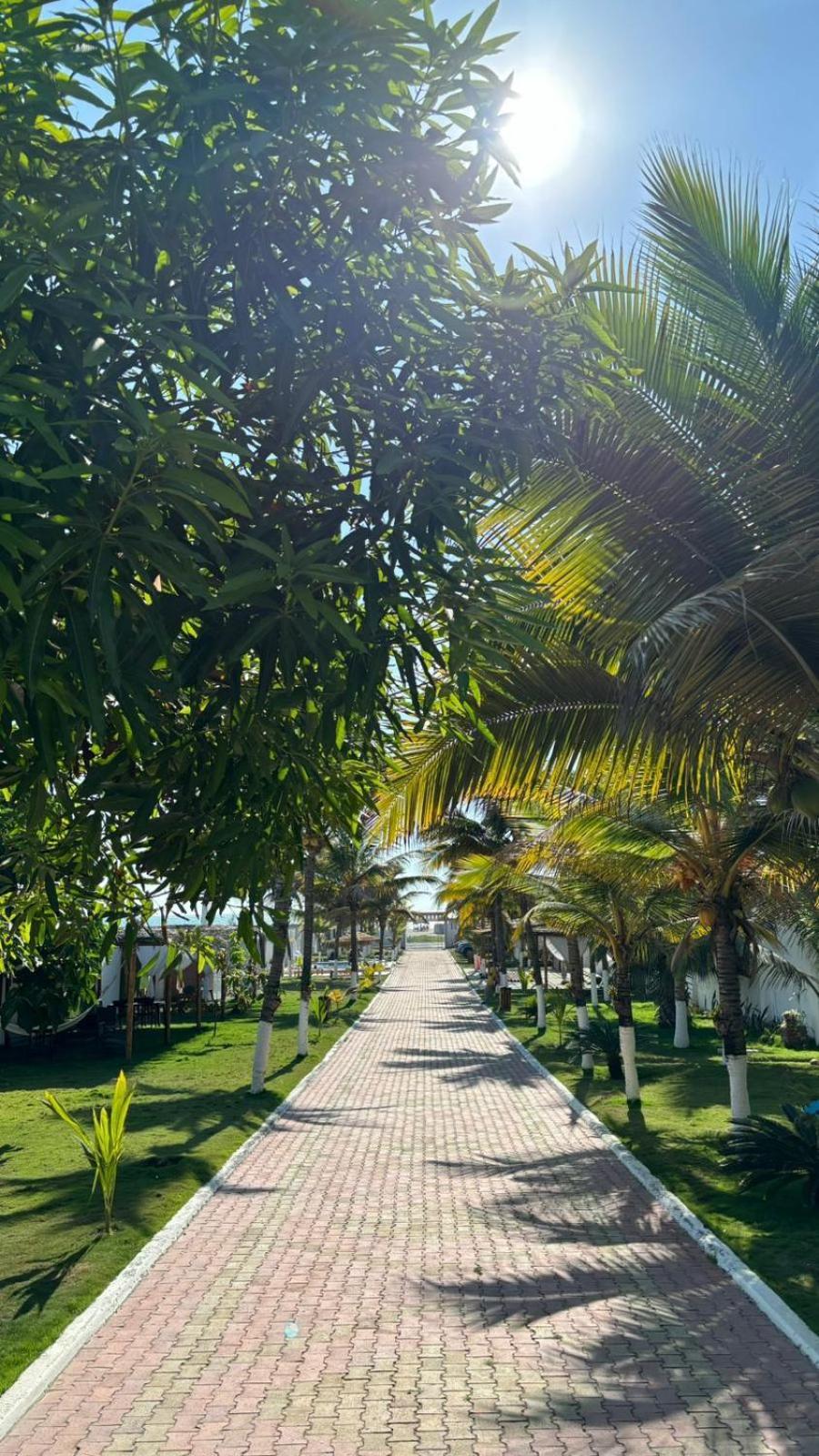 Hotel La Mar Playas Exteriér fotografie